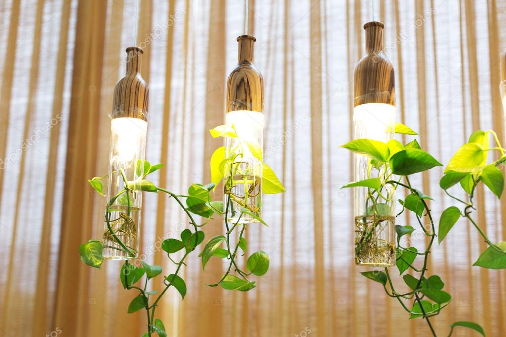 mooie verlichting met planten, opknoping op kamer — Stockfoto ... mooie verlichting met planten, opknoping op kamer — Stockfoto ...