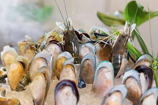 Frutti di mare freschi sul tavolo in cucina — Foto Stock