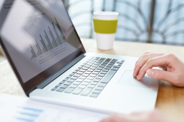 işadamı finansal raporlarda tablo denetimi
