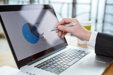 işadamı finansal raporlarda tablo denetimi