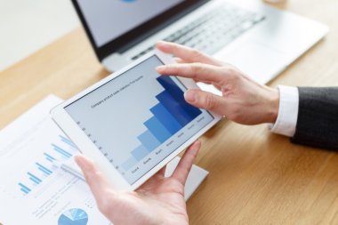 işadamı finansal raporlarda tablo denetimi