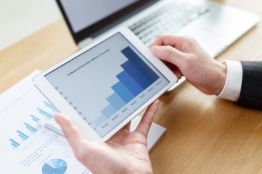 işadamı finansal raporlarda tablo denetimi