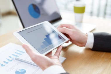 işadamı finansal raporlarda tablo denetimi