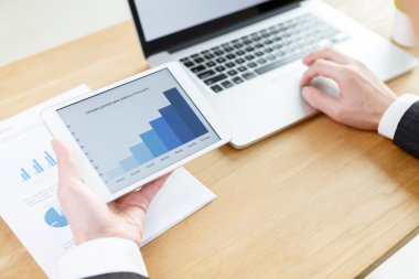 işadamı finansal raporlarda tablo denetimi