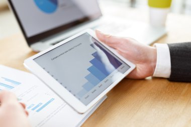 işadamı finansal raporlarda tablo denetimi
