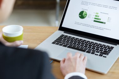 Mali tablo raporda denetimi işadamı