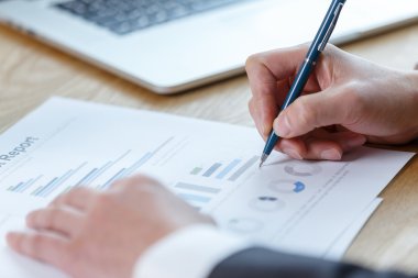 Mali tablo raporda denetimi işadamı