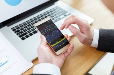 Mali tablo raporda denetimi işadamı