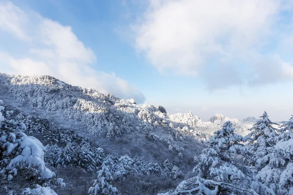 Schneeszene des Huangshan-Hügels im Winter — Stockfoto