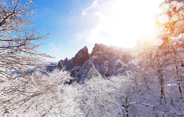 Schneeszene des Huangshan-Hügels im Winter — Stockfoto