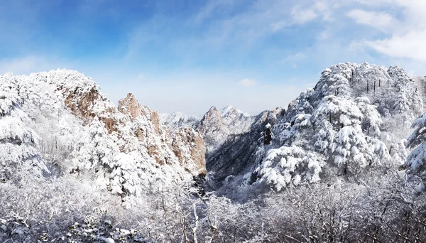 Schneeszene des Huangshan-Hügels im Winter — Stockfoto