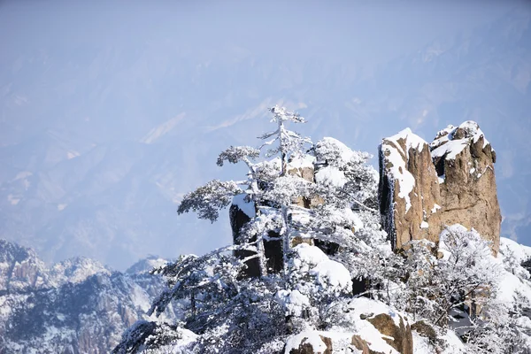 Scène de neige de la colline Huangshan en hiver — Photo
