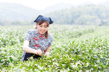 güzel Asyalı kız malzeme çekme çay