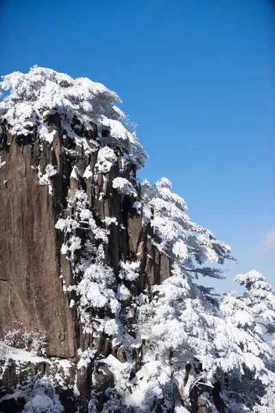 Schneeszene des Huangshan-Hügels im Winter — Stockfoto