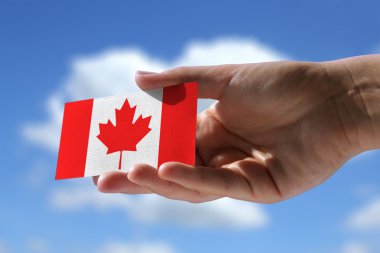 Küçük Kanada bayrağı