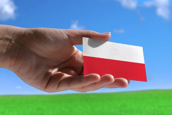 Små polska flaggan — Stockfoto