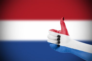 Hollanda bayrağı