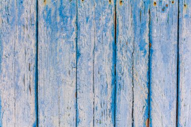 ahşap mavi panelin dokusu