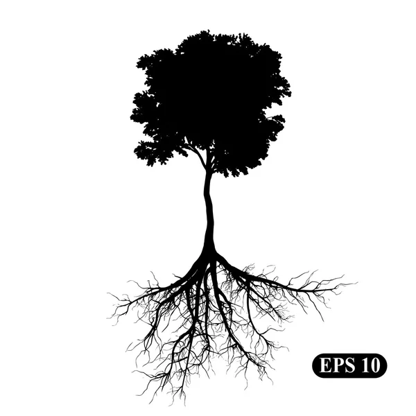 Árvore com raízes — Vetor de Stock