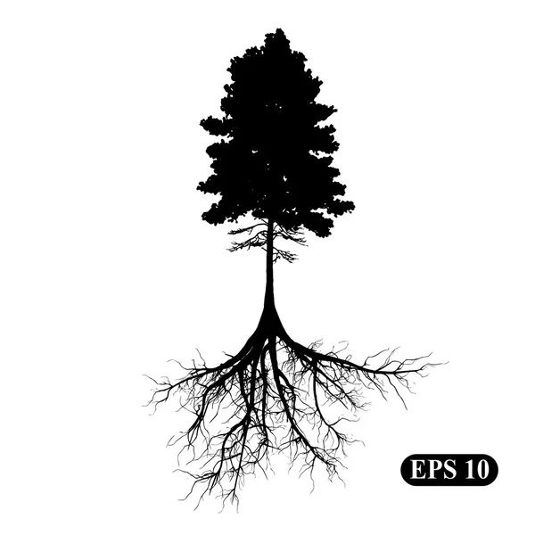 Puu juuret — vektorikuva