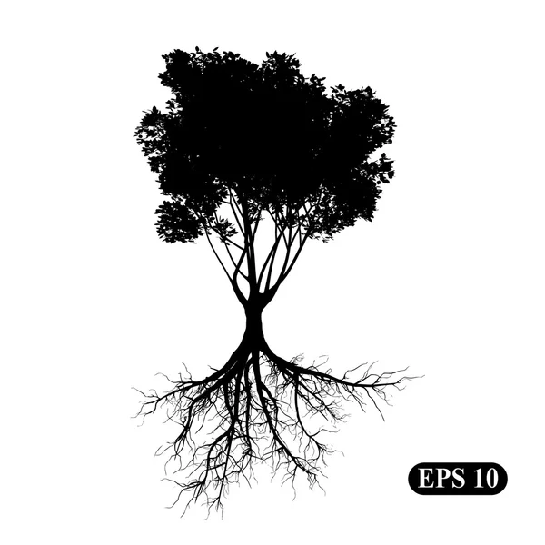 Δέντρο με ρίζες — Διανυσματικό Αρχείο