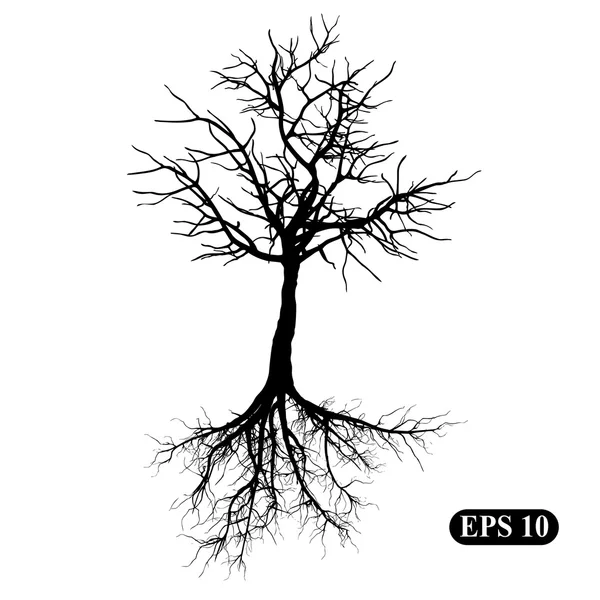Árbol con raíces — Vector de stock