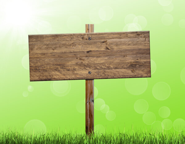 Wooden billboard on green background