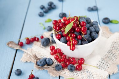 Taze ve sağlıklı yaban mersini ve Frenk üzümü