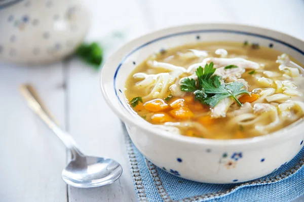 Zuppa di pollo calda e salata — Foto Stock