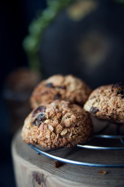 Healthy muesli cookies — Stock Photo, Image