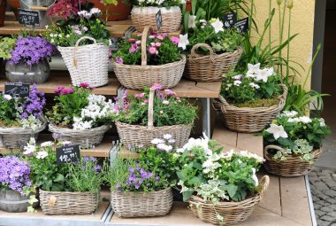 Bir flowershop önünde çiçek