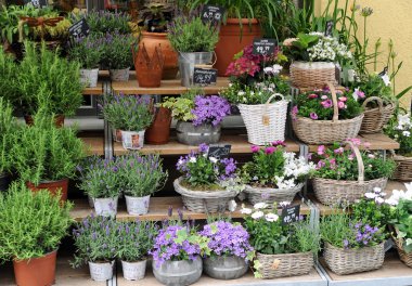Bir flowershop önünde çiçek