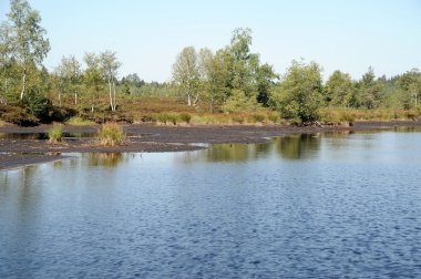 Gölde bir bataklık