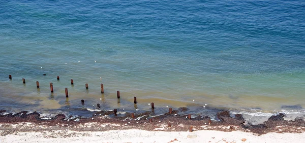Pláž s výztužnými a mořské řasy — Stock fotografie