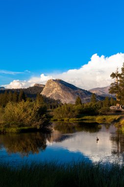 Tuolumne Meadows, Yosemite Milli Parkı, Kaliforniya