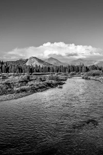 Tuolumne Meadows, Taman Nasional Yosemite, California — Stok Foto