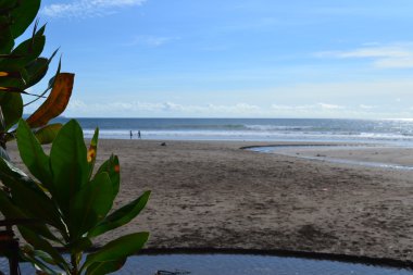 Okyanus dalgaları ve kıyı yan