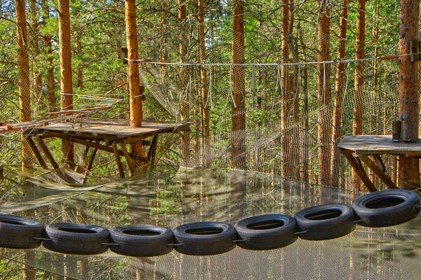 Tires hanging in rope park in a pine forest