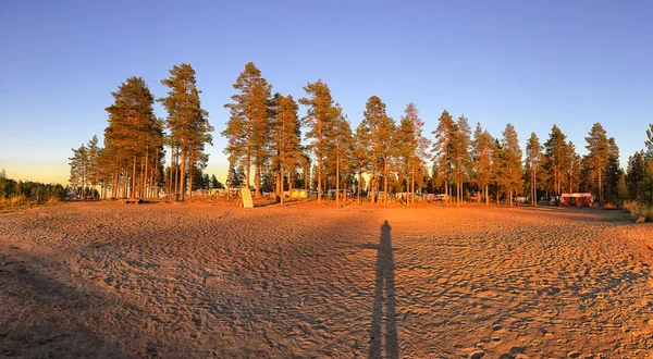 Teplé slunce ve švédštině táboření pod borovicemi — Stock fotografie