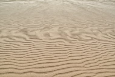 Kum tepeleri arka plan doku