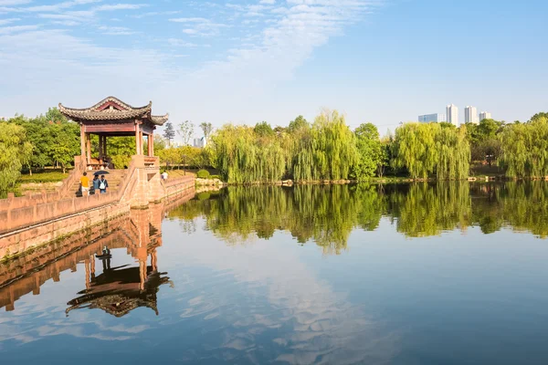 Staden sjön i parken — Stockfoto