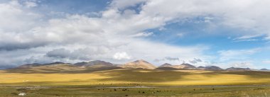 Sonbahar otlağı manzarası, Qinghai, Çin 'de güzel doğal manzara.