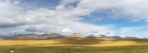 Autunno Pascolo Panorama Bellissimo Paesaggio Naturale Qinghai Cina — Foto Stock