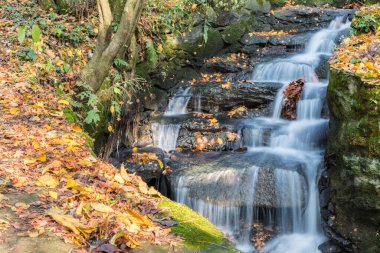 Sonbaharda dere ve düşen yapraklar, Lushan dağ manzarası, Jiangxi bölgesi, Çin