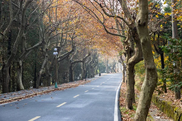 Herfst Weg Lushan Berg Jiangxi Provincie China — Stockfoto