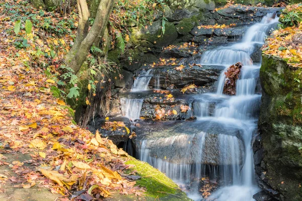 江西鹿山风景 秋天的溪流落叶 — 图库照片