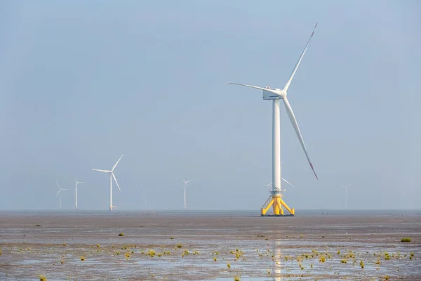 Parque Eólico Zona Húmida Plana Das Marés Fundo Energia Sustentável — Fotografia de Stock