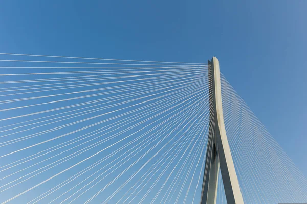 Brückenturm Mit Stehseilen Vor Blauem Himmel Moderner Schrägseilbrücken Hintergrund — Stockfoto