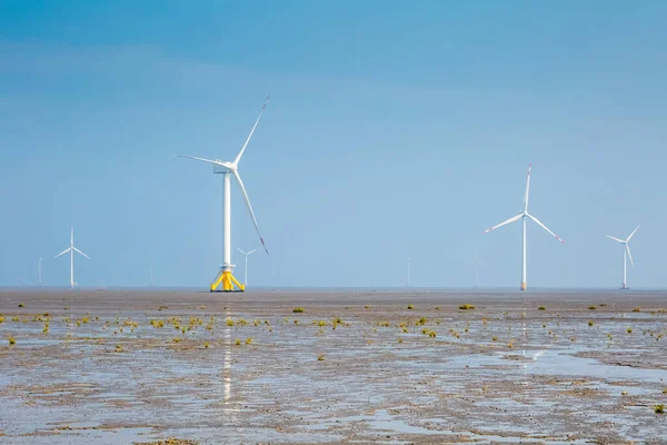 Parco Eolico Sulle Zone Umide Piatte Marea Con Tempo Foschia — Foto Stock