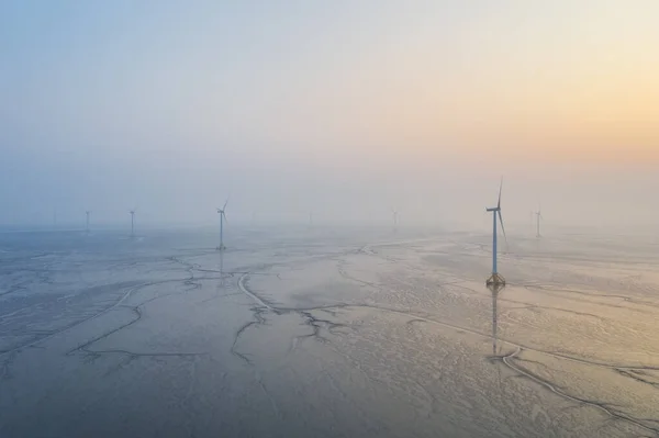 aerial view of wind farm on tidal flat wetland in sunrise, clean energy landscape